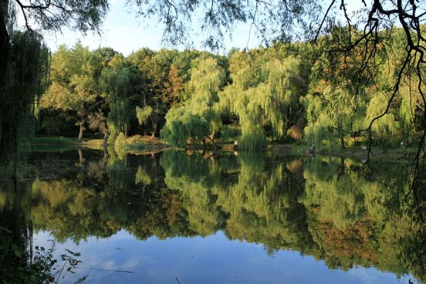 Уникальные водоемы Молдовы: их значение, проблемы и перспективы