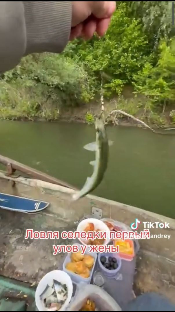 Селёдка Ваду-луй-воды