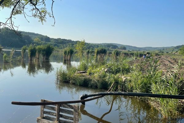 Озеро Гэлешть: Круглосуточная Платная Рыбалка в Живописном Месте